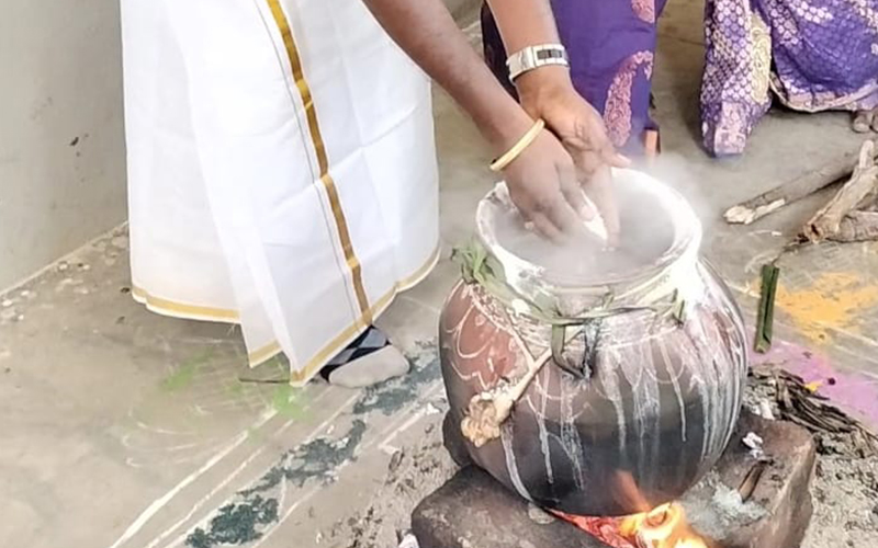 Pongal Festival Celebration 2025